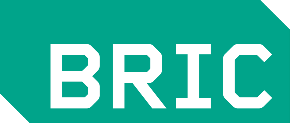 BRIC Arts Media